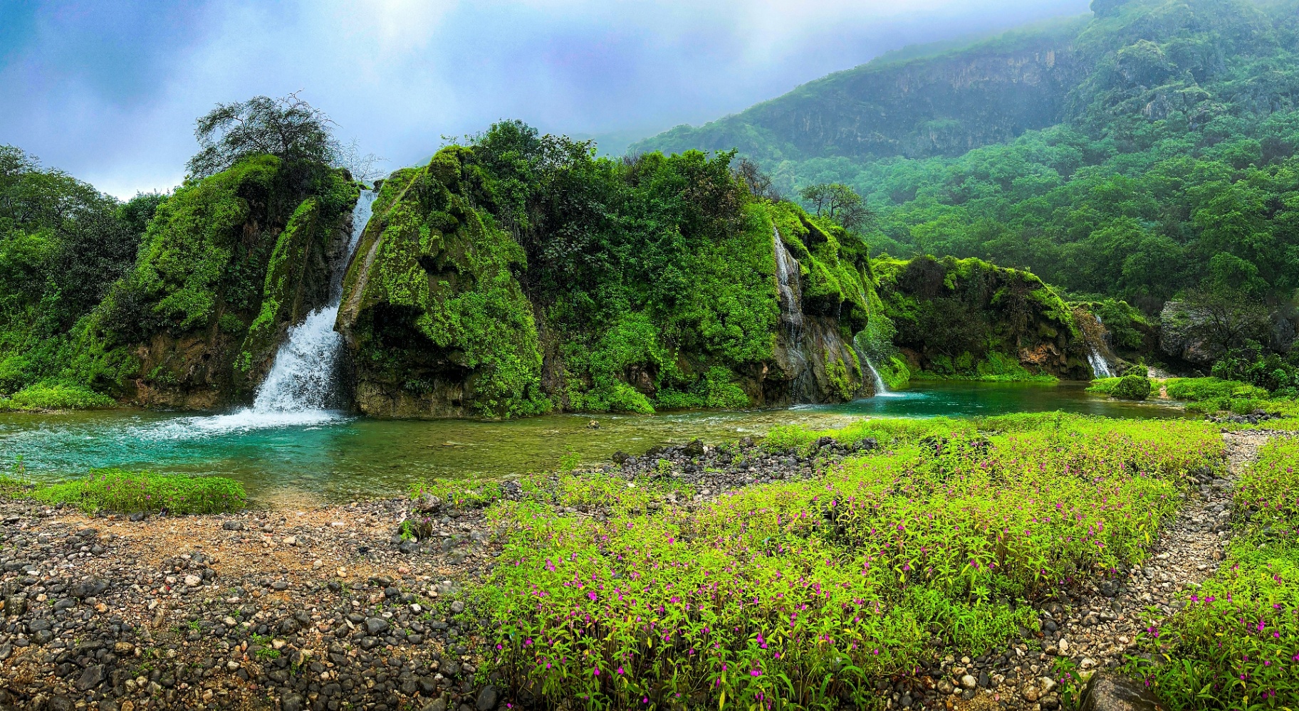 Lush Dhofar landscape near Salalah, Oman